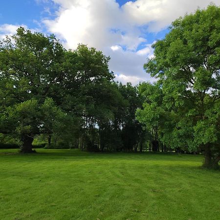 Gite De La Janiere Sainte-Luce-sur-Loire Exteriör bild