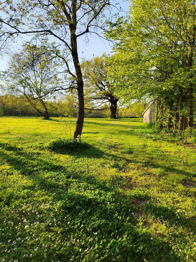 Gite De La Janiere Sainte-Luce-sur-Loire Exteriör bild