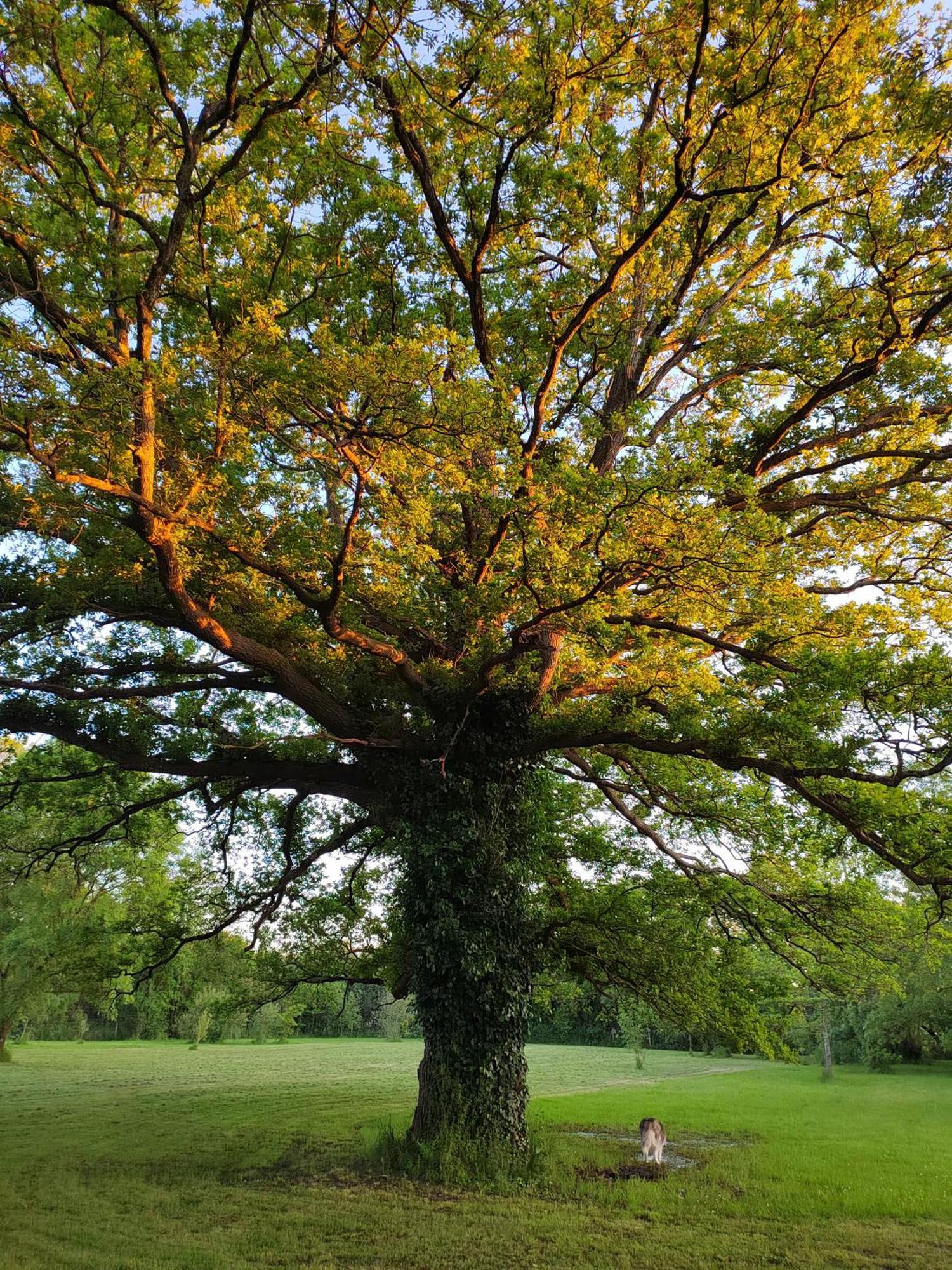 Gite De La Janiere Sainte-Luce-sur-Loire Exteriör bild