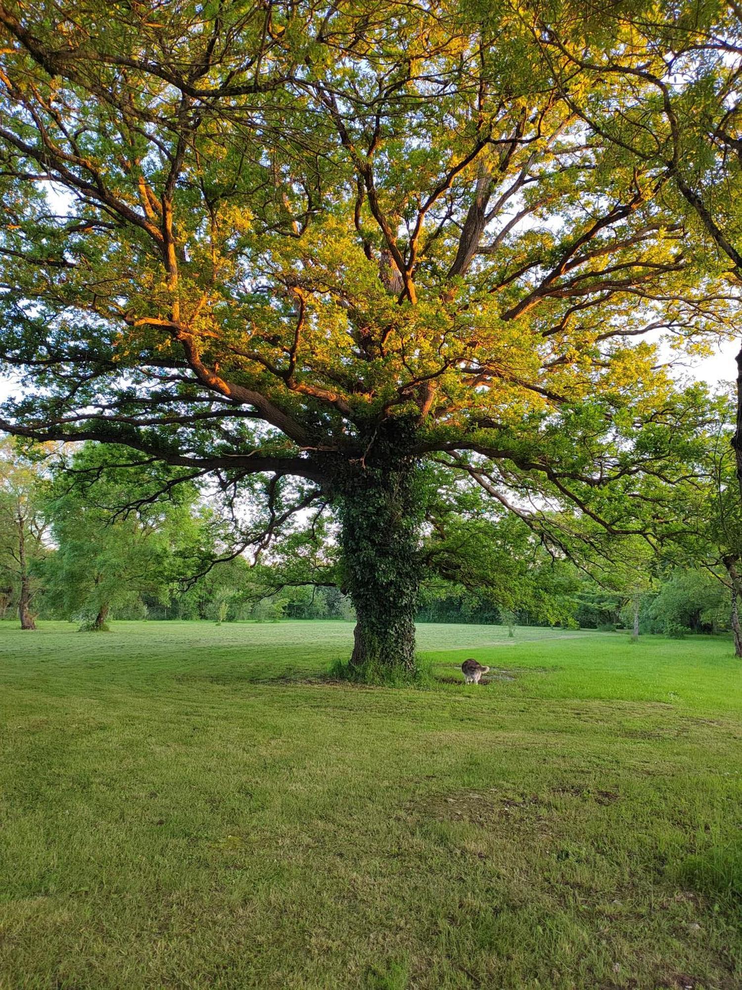 Gite De La Janiere Sainte-Luce-sur-Loire Exteriör bild