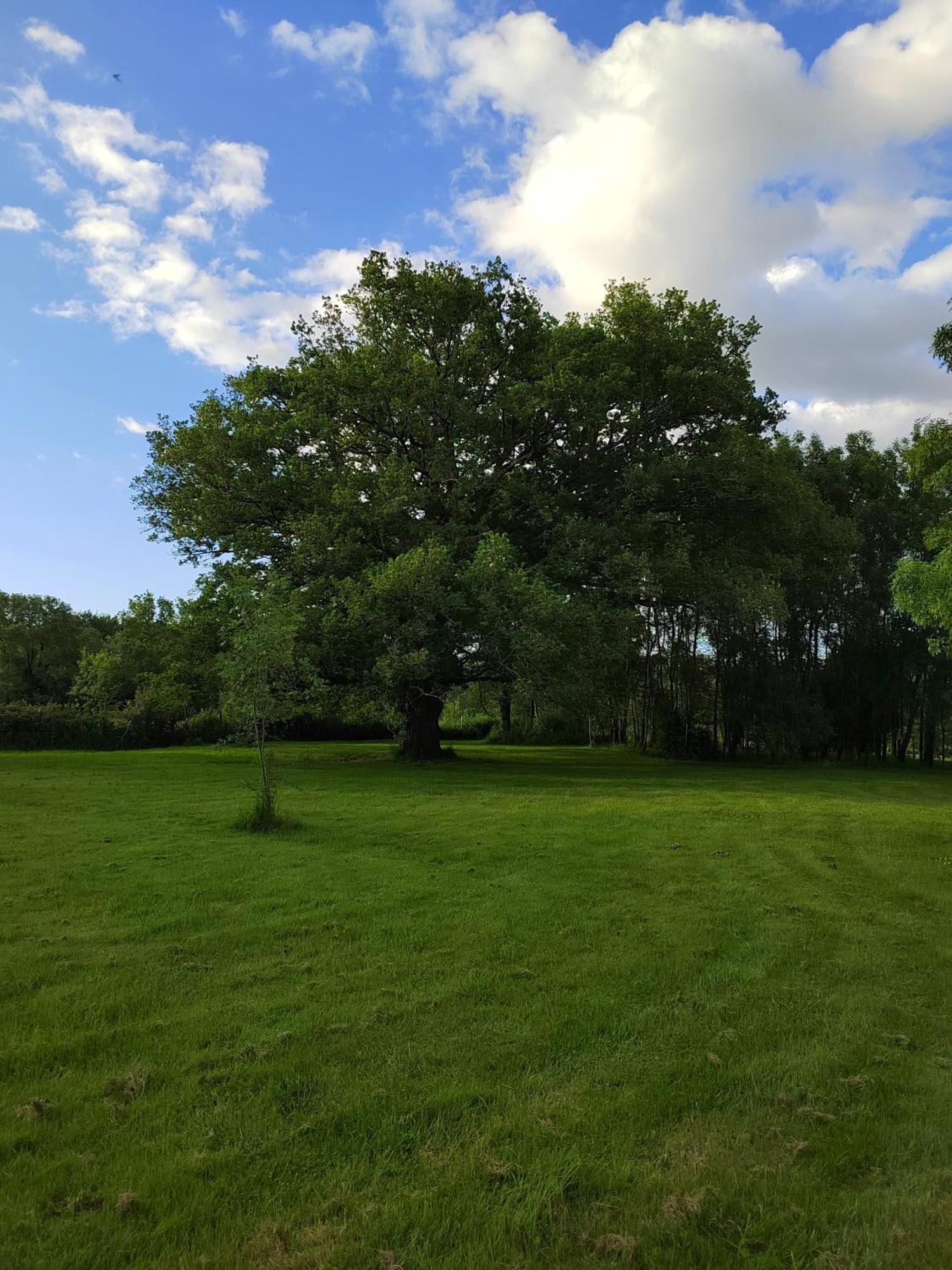 Gite De La Janiere Sainte-Luce-sur-Loire Exteriör bild