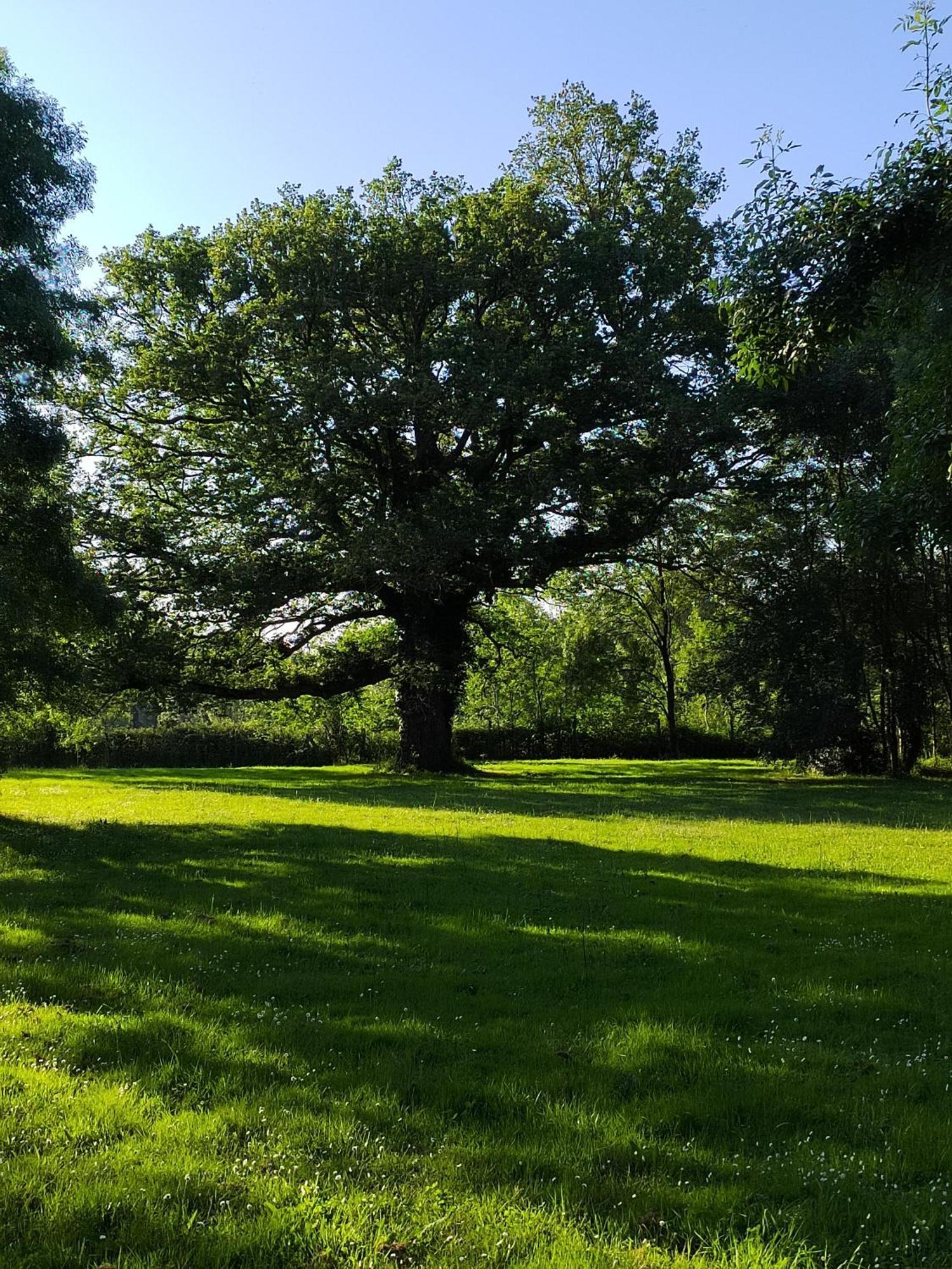 Gite De La Janiere Sainte-Luce-sur-Loire Exteriör bild