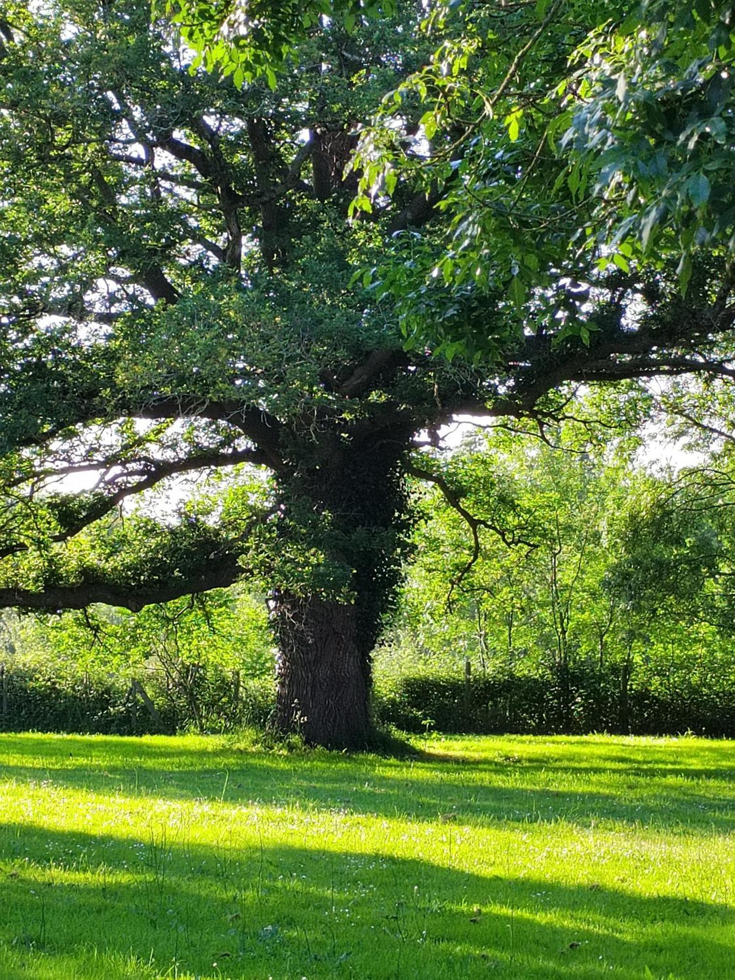 Gite De La Janiere Sainte-Luce-sur-Loire Exteriör bild